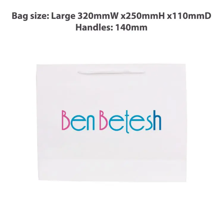 Picture of Large Crosswise Paper Bag with Fabric Flat Handle(320 x 250 x 110mm)