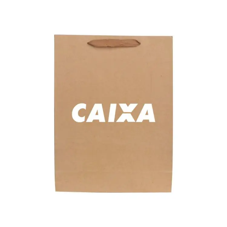 Picture of Large Vertical Paper Bag with Fabric Flat Handle(300 x 400 x 110mm)