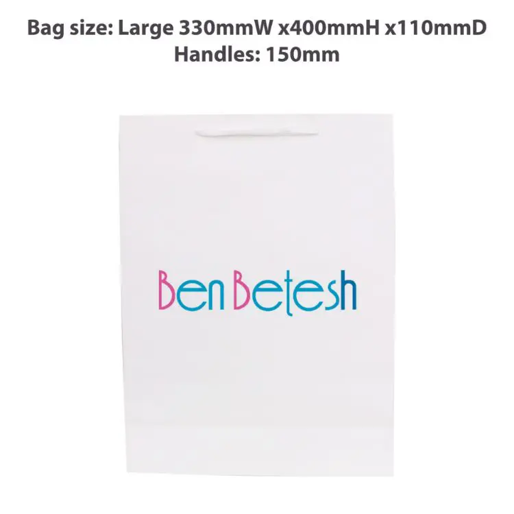 Picture of Large Vertical Paper Bag with Fabric Flat Handle(300 x 400 x 110mm)