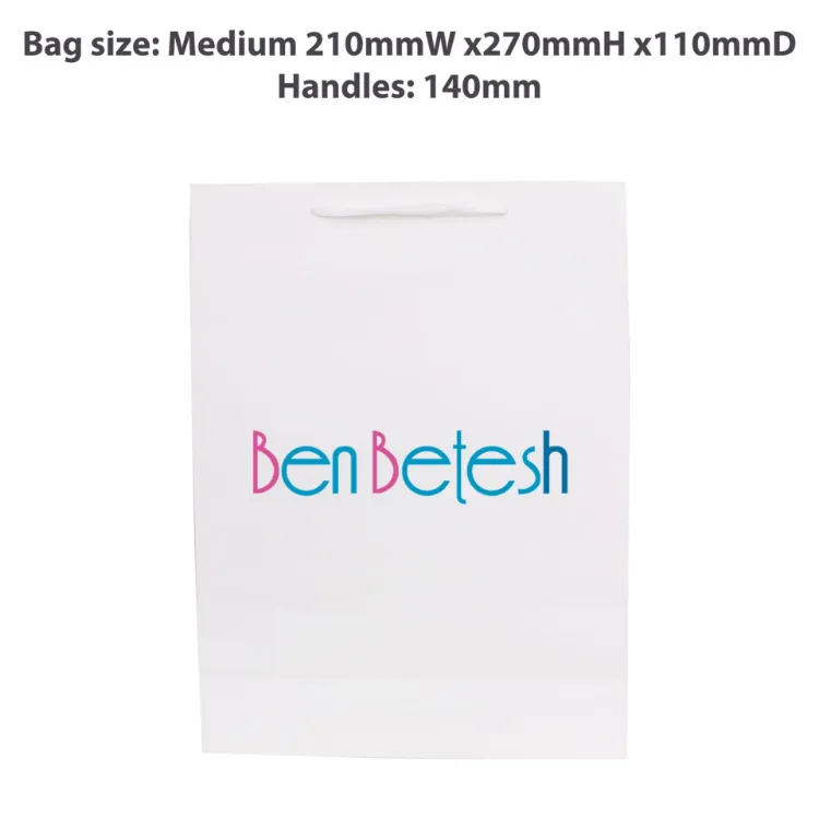 Picture of Medium Vertical Paper Bag with Fabric Flat Handle(210 x 270 x 110mm)