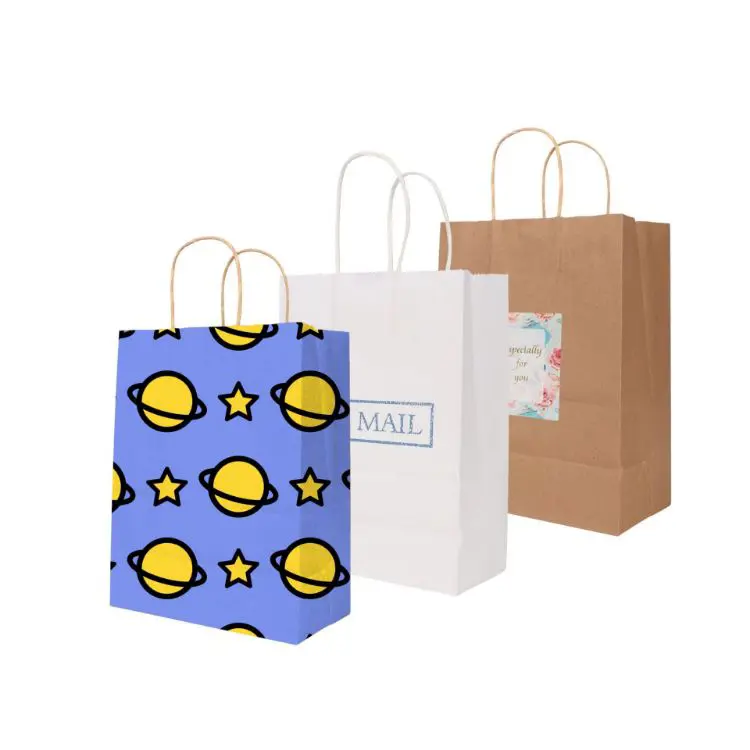 Picture of Twisted Handle Kraft Paper Bag(260x330x120mm)