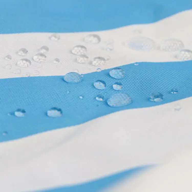 Picture of Carrier Storage Beach Bag