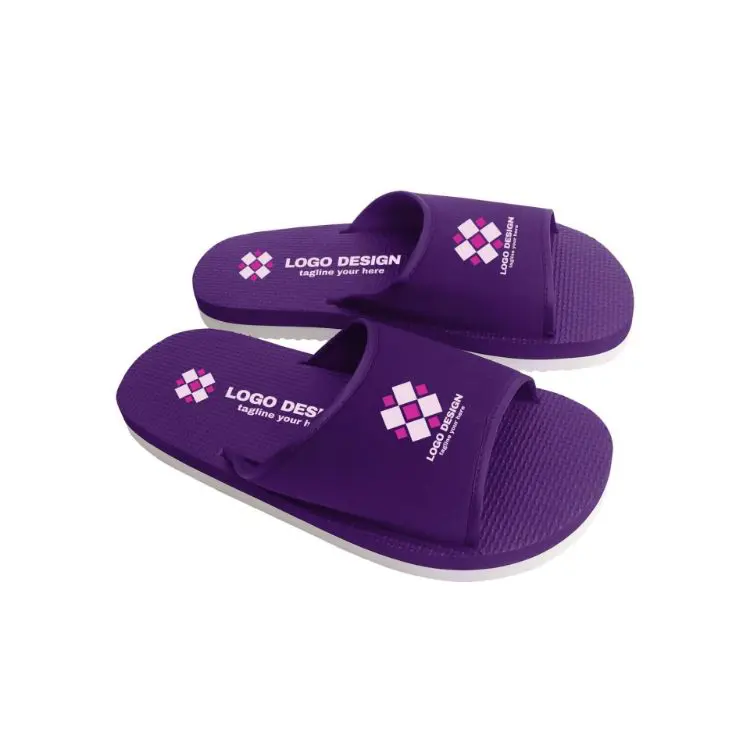 Picture of EVA Slides