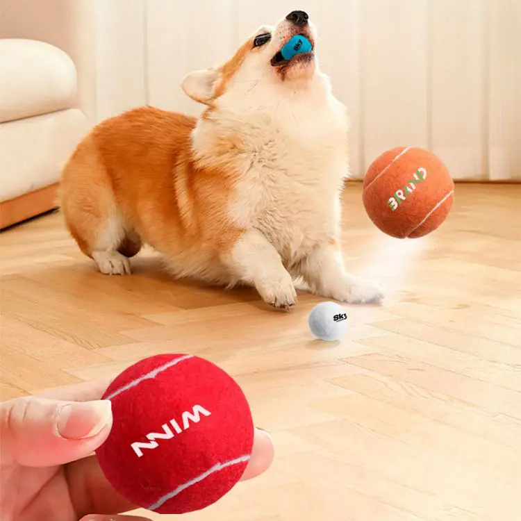 Picture of Pet Tennis Ball