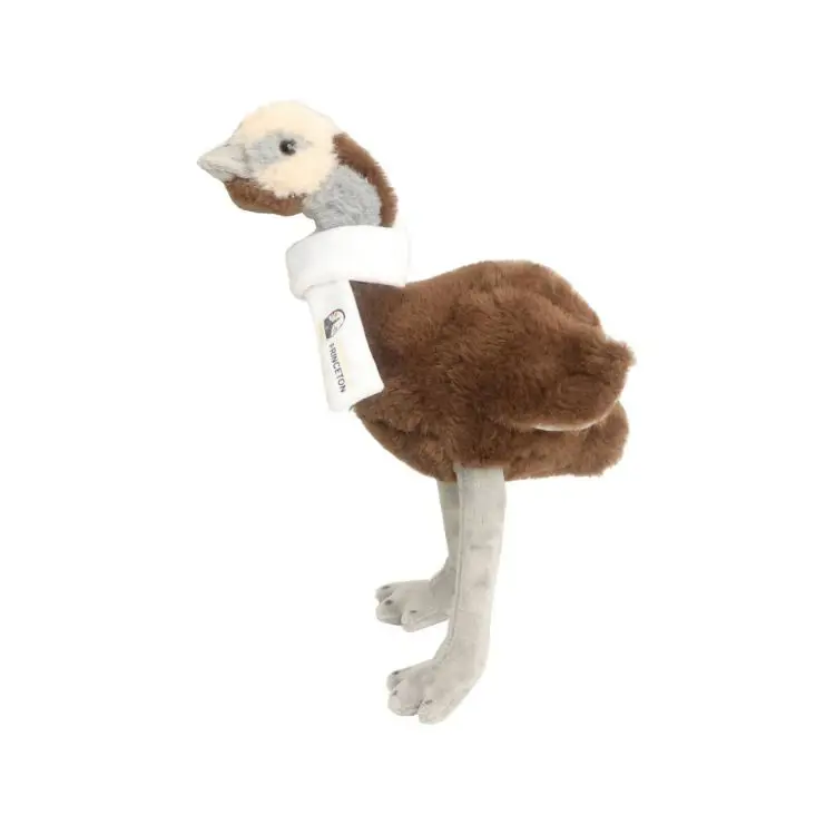 Picture of Custom Emu Plush Toy