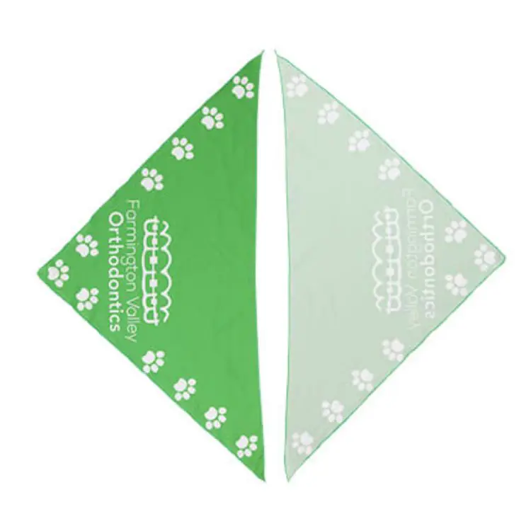 Picture of Triangle Pet Bandana