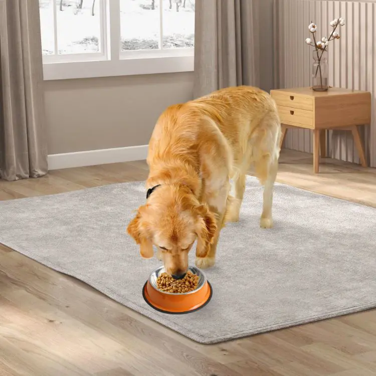 Picture of Pet Feeding Bowl
