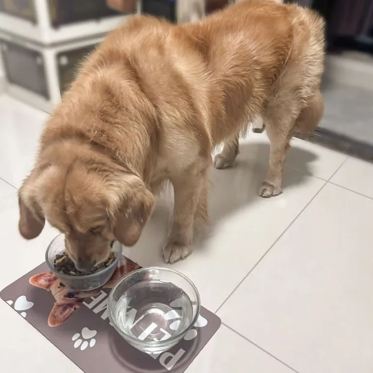 Picture of Pet Feeding Mat