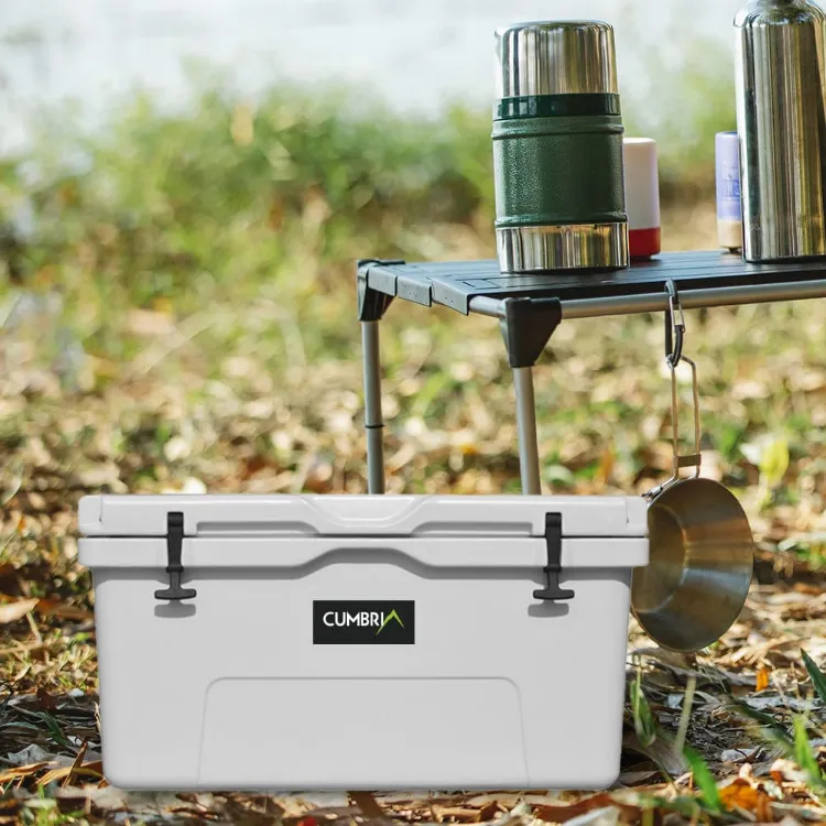 Picture of 85L Cooler Box