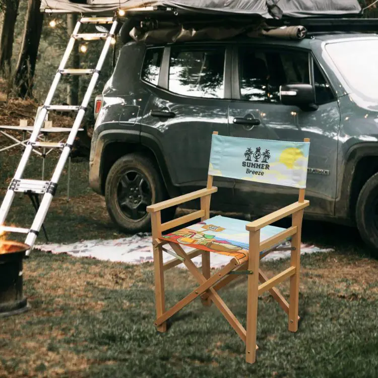 Picture of Director's Chair