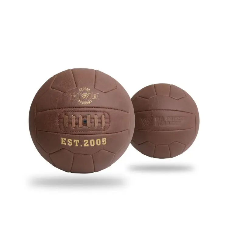 Picture of Vintage Soccer Ball