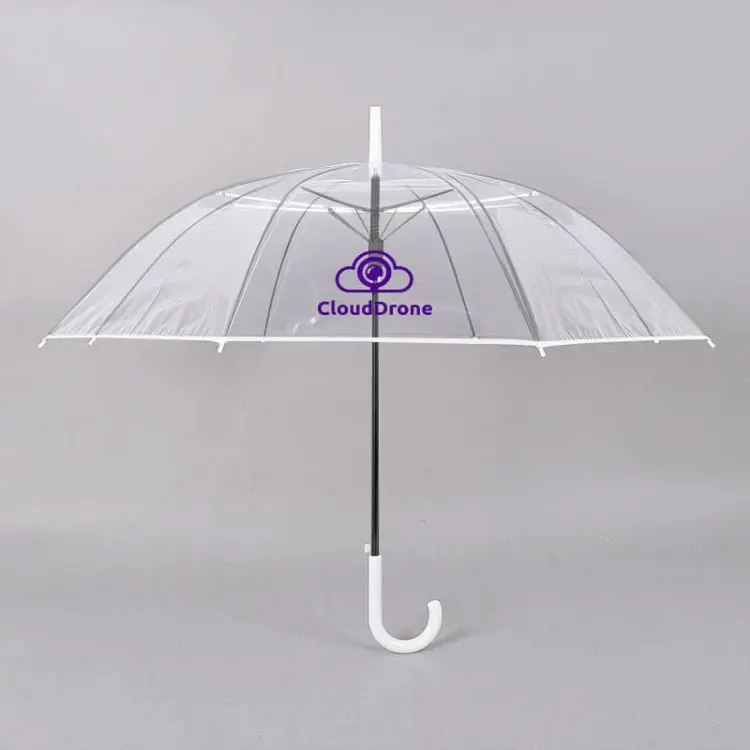 Picture of Transparent Eight-Panel Umbrella