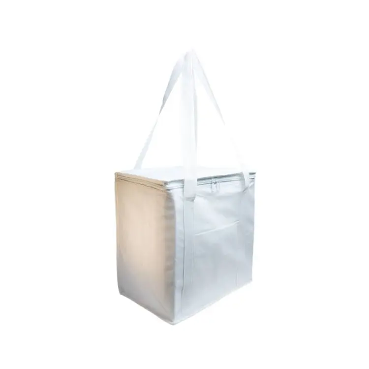 Picture of Tundra Cooler / Shopping Bag