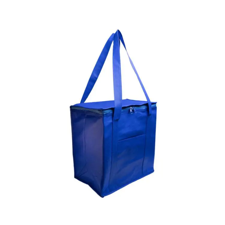 Picture of Tundra Cooler / Shopping Bag