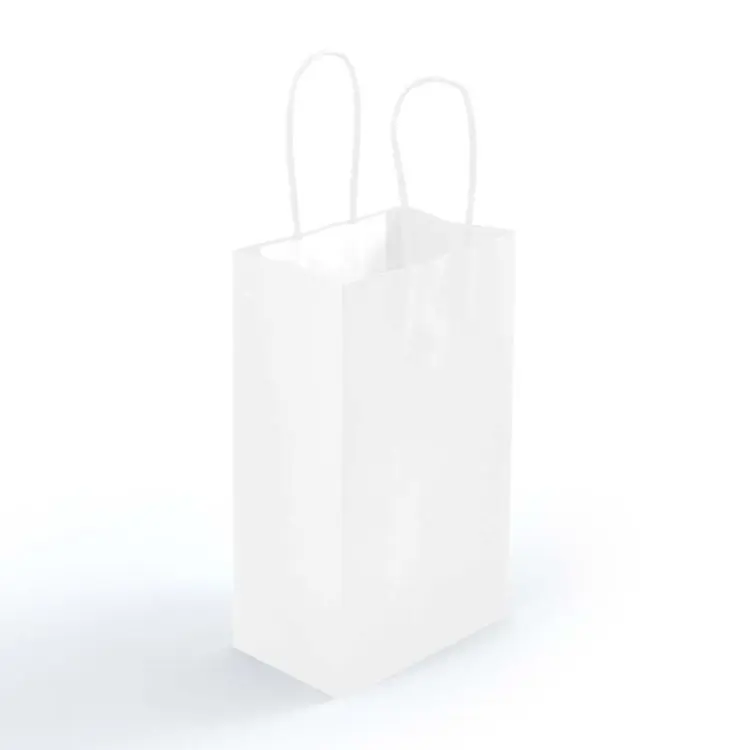 Picture of Express Paper Bag Small