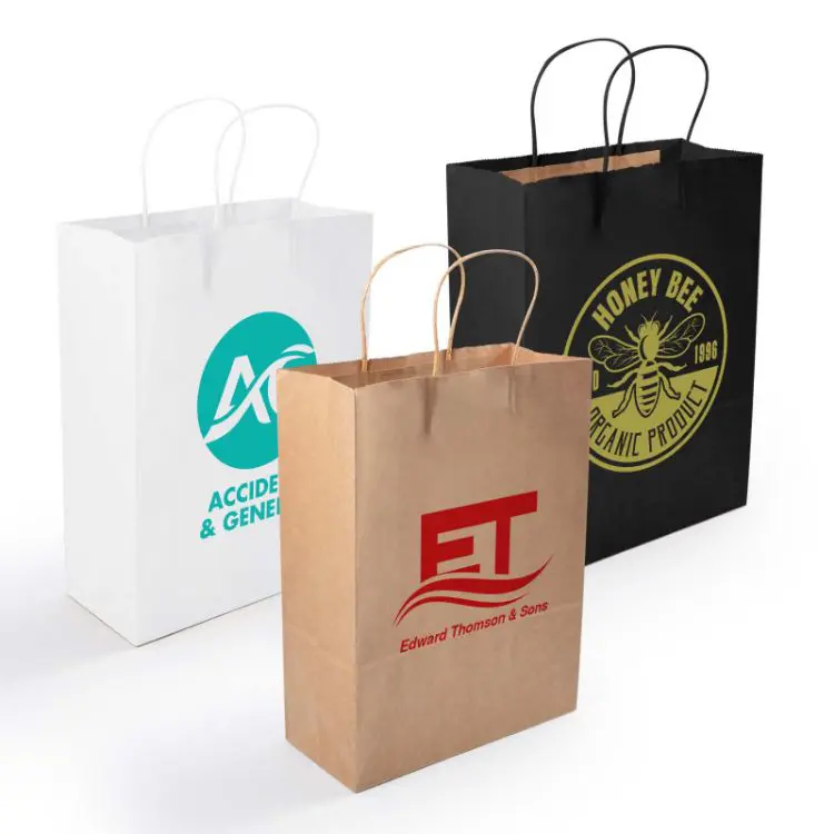 Picture of Express Paper Bag Medium