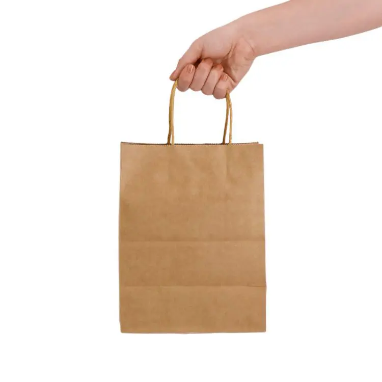 Picture of Express Paper Bag Medium