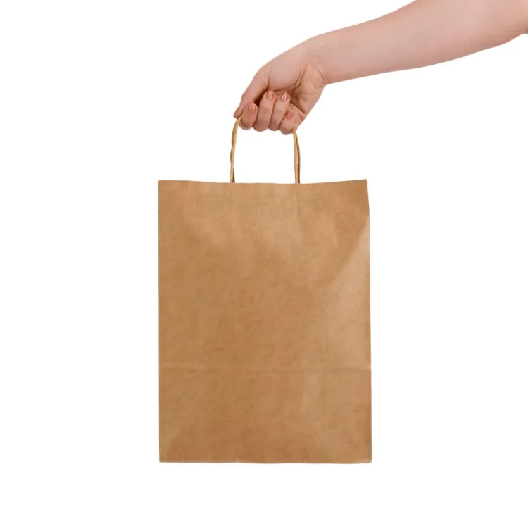 Picture of Express Paper Bag Large