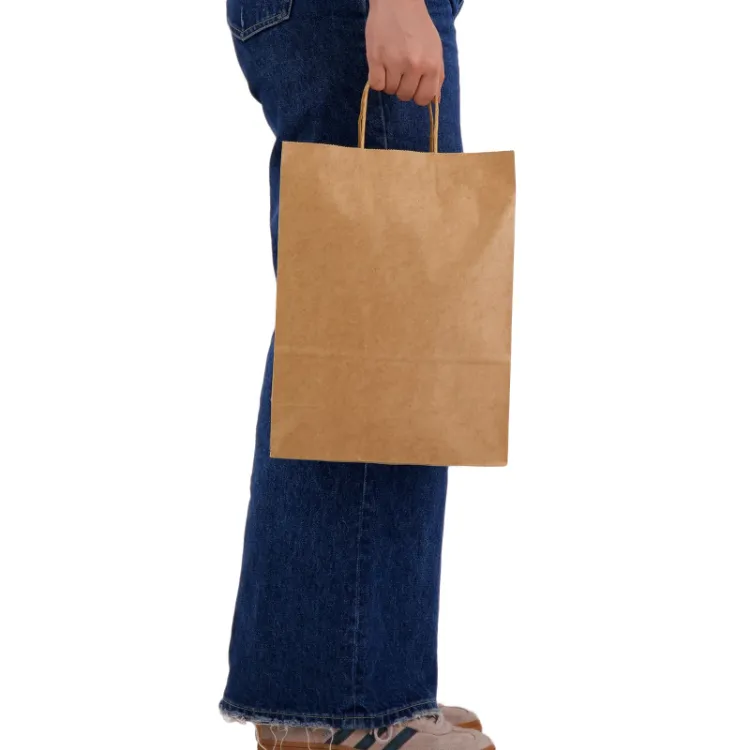 Picture of Express Paper Bag Large