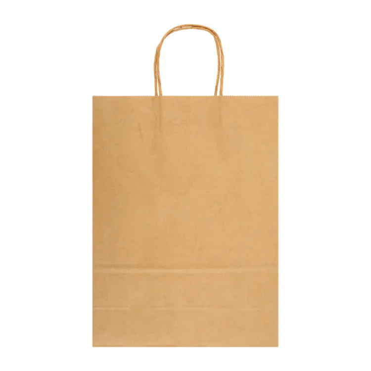 Picture of Express Paper Bag Large