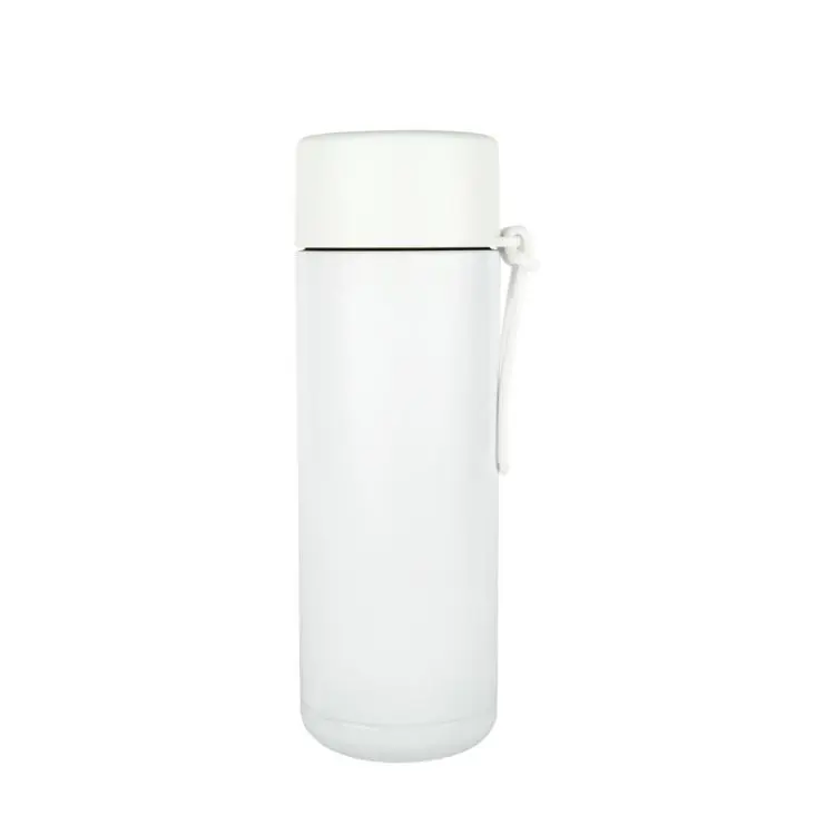 Picture of Zara 600ml Steel Bottle
