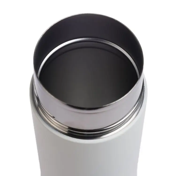 Picture of Zara 600ml Steel Bottle