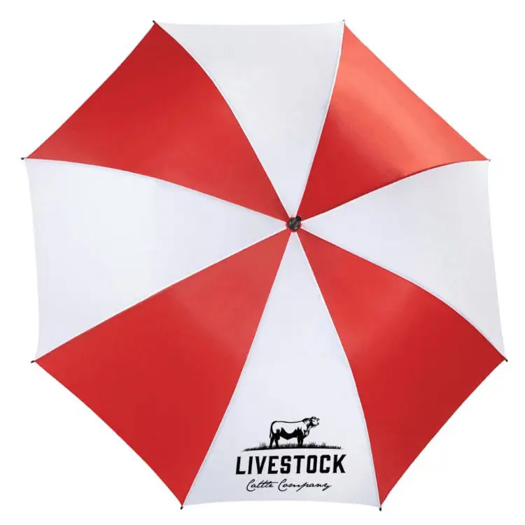 Picture of Ultra Value Auto Umbrella