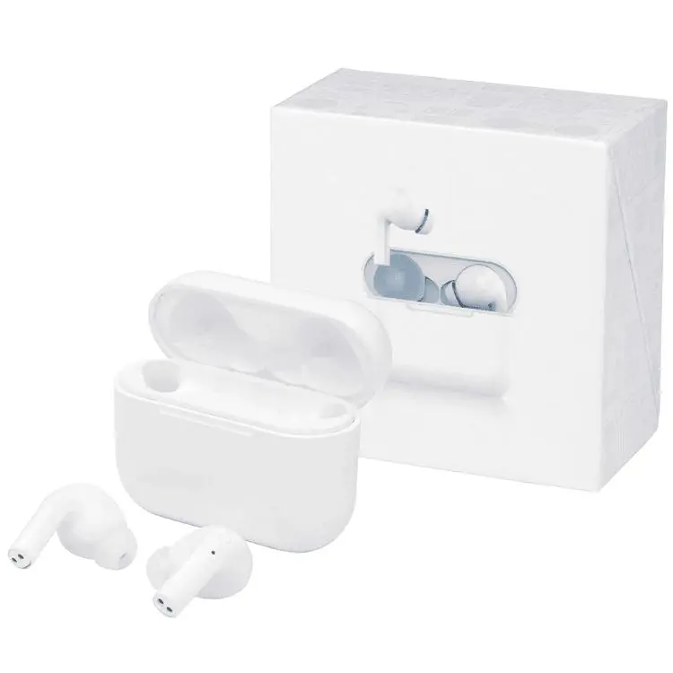 Picture of Braavos 2