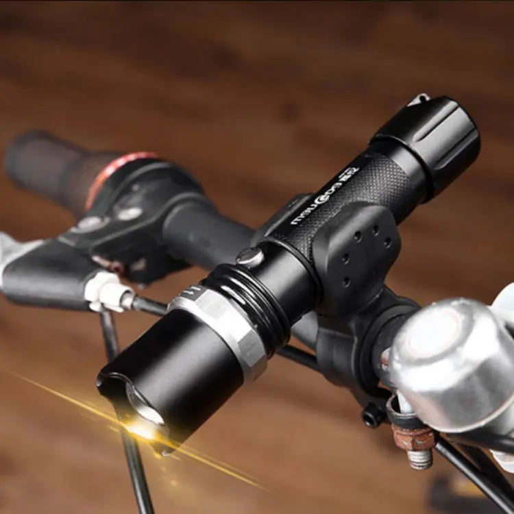 Picture of Danube Torch