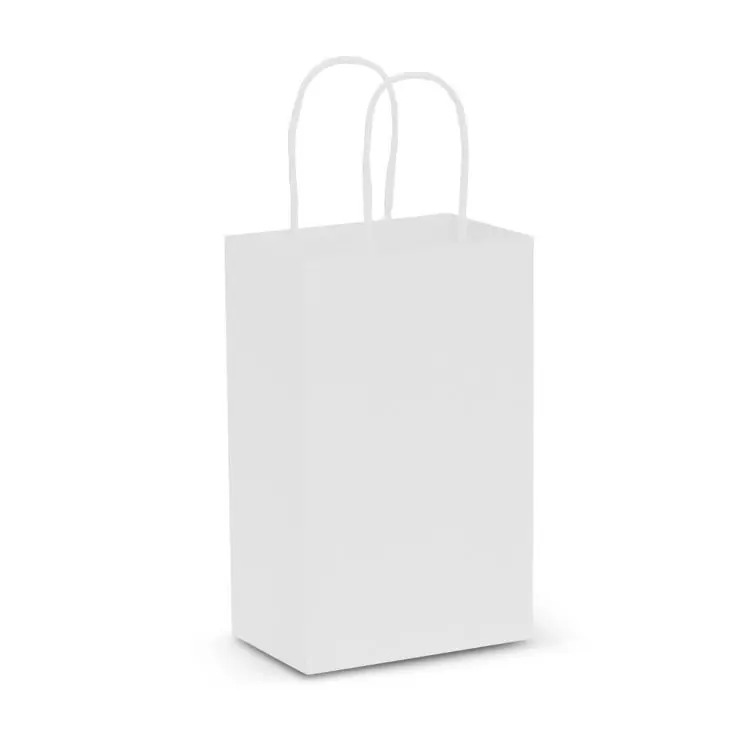 Picture of Paper Carry Bag - Small