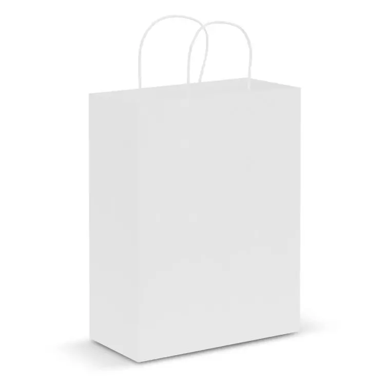 Picture of Paper Carry Bag - Large