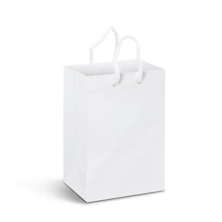 Picture of Small Laminated Paper Carry Bag - Full Colour