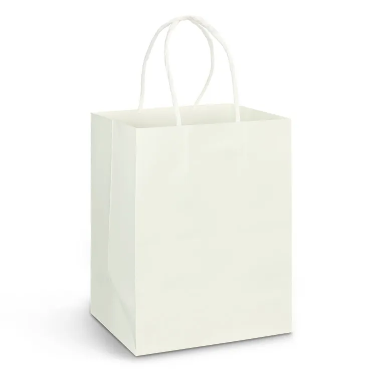 Picture of Large Paper Carry Bag - Full Colour