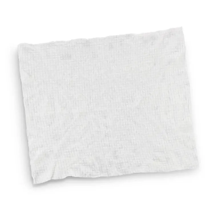 Picture of Compressed Towel Small