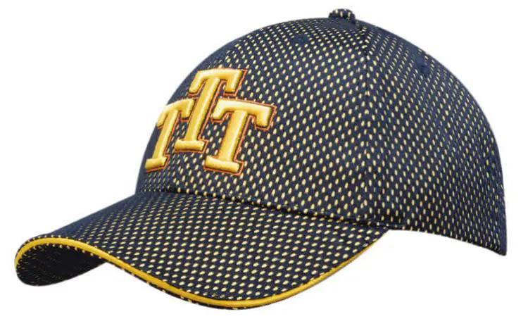 Picture of Mesh Covered Cotton Cap with Sandwich